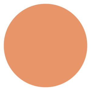 An image showing apricot crush color.
